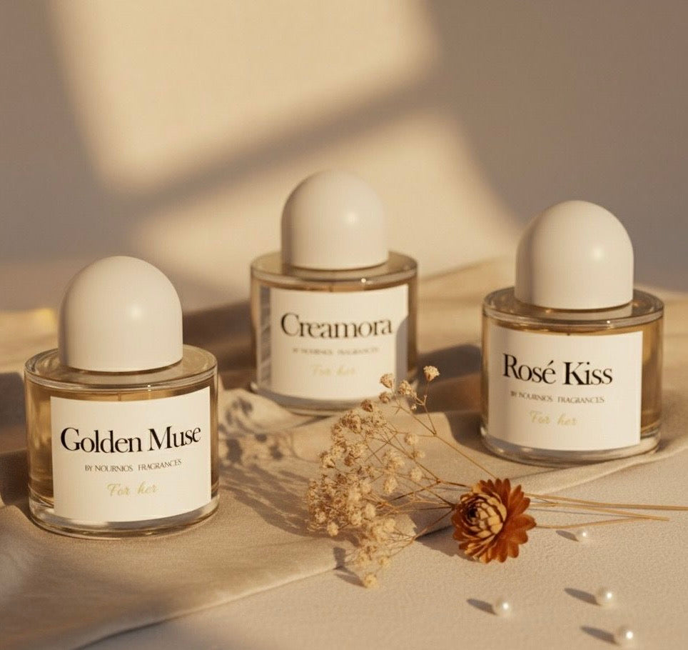 Black Friday Bundle β Special Edition