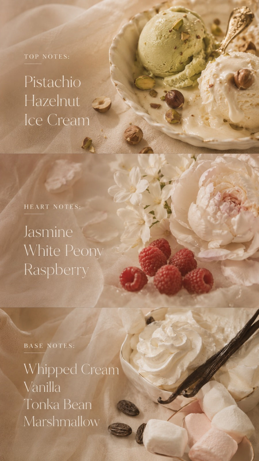 Creamy Gelato