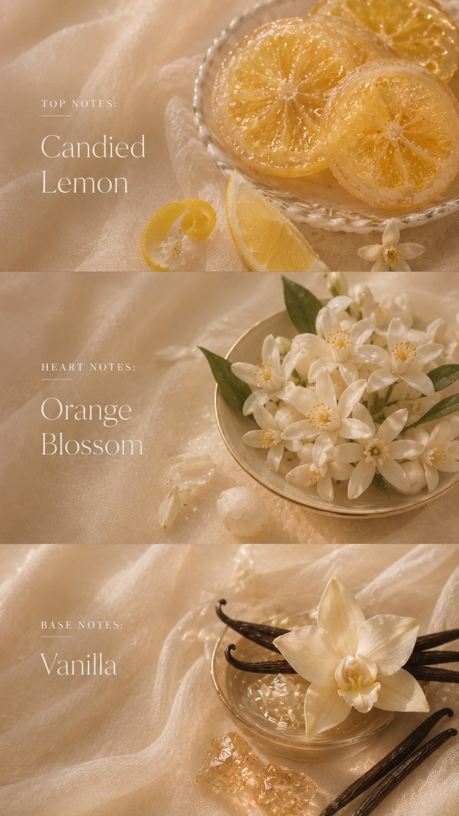 Lemon & Vanilla